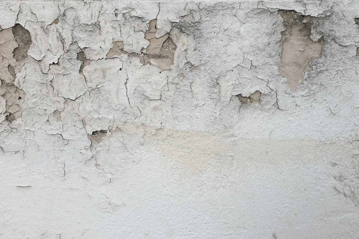 Peeling paint and moisture damage on a concrete wall caused by water infiltration in a Brooklyn garage